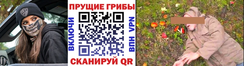 Галлюциногенные грибы мицелий  гидра как зайти  Новоржев 